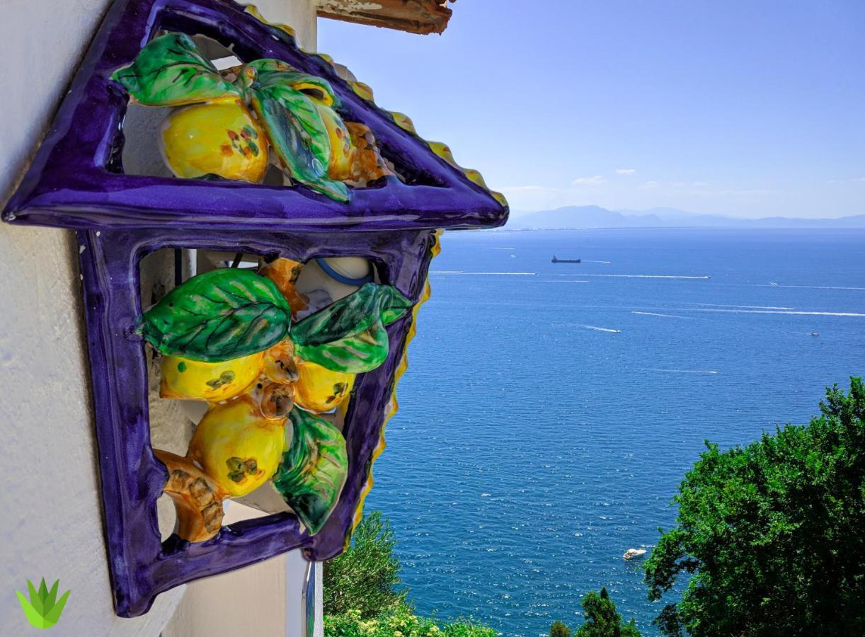 Villa Delle Agavi Виетри Экстерьер фото